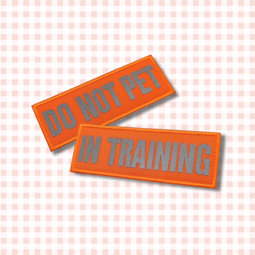 Reflective Velcro Patches – The Conscious Dog Mum