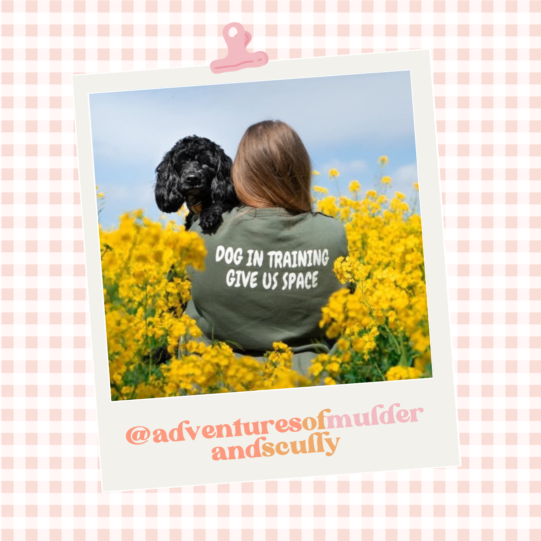 Custom Branded T-Shirt with Slogan