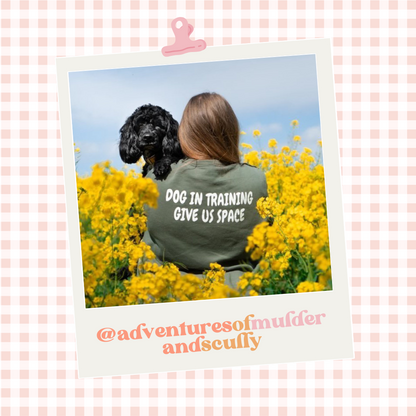 Custom Branded T-Shirt with Slogan