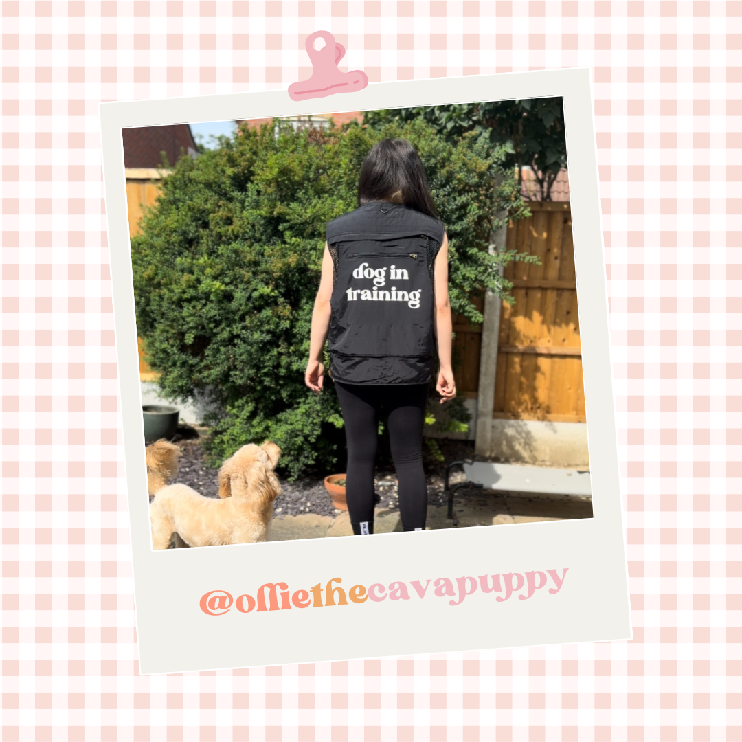 Custom Branded Dog Handler Gilet