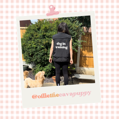 Custom Branded Dog Handler Gilet