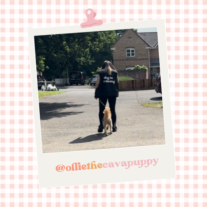Custom Branded Dog Handler Gilet
