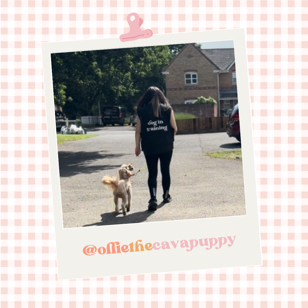 Custom Branded Dog Handler Gilet