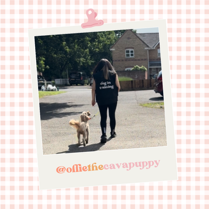 Custom Branded Dog Handler Gilet