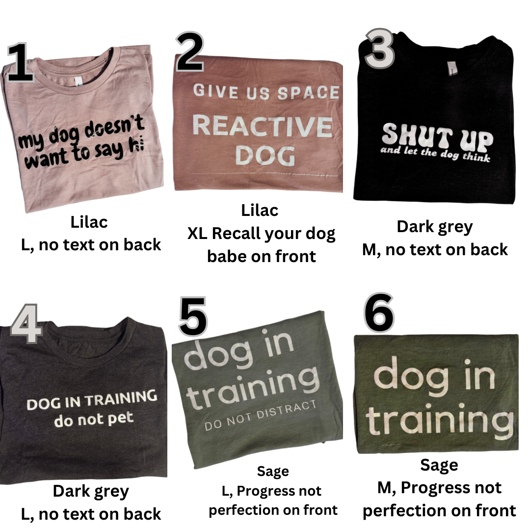 T-Shirt seconds