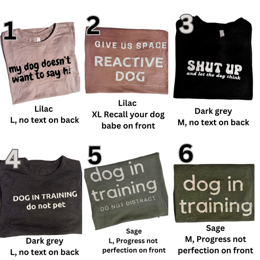 T-Shirt seconds